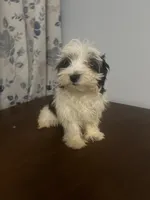 processed/c865317f-5552-4116-9d67-1710d93ef40f/listing/b444d7ca-02a1-41c6-8b66-93c4f32128b3/b71636f2-5361-434f-91d5-a0b4fb9d578d