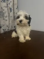 processed/c865317f-5552-4116-9d67-1710d93ef40f/listing/b444d7ca-02a1-41c6-8b66-93c4f32128b3/f66de719-94ec-495d-8015-baab809f9013