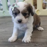 processed/c8658ad0-b3e3-497c-b57a-242ce2a8fe83/facility/1db6a518-935c-4a3d-bea7-4edc98139c50