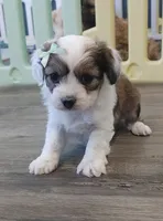 processed/c8658ad0-b3e3-497c-b57a-242ce2a8fe83/facility/1db6a518-935c-4a3d-bea7-4edc98139c50