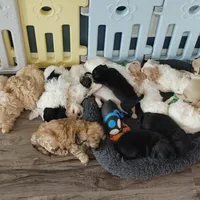 processed/c8658ad0-b3e3-497c-b57a-242ce2a8fe83/facility/33a31755-1747-4170-80a1-76b9cd508cda