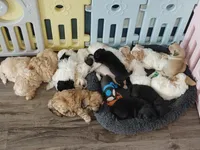 processed/c8658ad0-b3e3-497c-b57a-242ce2a8fe83/facility/33a31755-1747-4170-80a1-76b9cd508cda