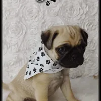 processed/c8658ad0-b3e3-497c-b57a-242ce2a8fe83/facility/4524b86a-3c7b-472c-b962-b2c034040a89