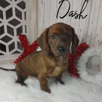 processed/c8658ad0-b3e3-497c-b57a-242ce2a8fe83/facility/4bd702ac-5b1a-45ba-9c7e-dcb62f3aecd2