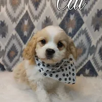 processed/c8658ad0-b3e3-497c-b57a-242ce2a8fe83/facility/6aa4034d-30dd-4db1-9389-9f19091b536e