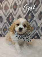 processed/c8658ad0-b3e3-497c-b57a-242ce2a8fe83/facility/6aa4034d-30dd-4db1-9389-9f19091b536e