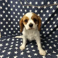 processed/c8658ad0-b3e3-497c-b57a-242ce2a8fe83/facility/86a32b6c-2ad6-44fe-a6ad-7906d49da287