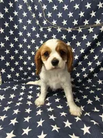 processed/c8658ad0-b3e3-497c-b57a-242ce2a8fe83/facility/86a32b6c-2ad6-44fe-a6ad-7906d49da287