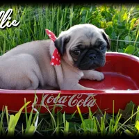 processed/c8658ad0-b3e3-497c-b57a-242ce2a8fe83/facility/ab659e3e-4687-48d1-b768-4a1a22484d83