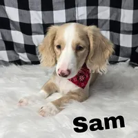 processed/c8658ad0-b3e3-497c-b57a-242ce2a8fe83/facility/c854cab7-8740-4702-b6ed-0689760d2144