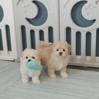 processed/c8658ad0-b3e3-497c-b57a-242ce2a8fe83/facility/d4d22575-8c6d-4f2f-837a-080929774434