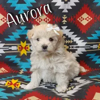 processed/c8658ad0-b3e3-497c-b57a-242ce2a8fe83/facility/dd5ed379-47a4-4da2-b051-44e7fc640e49