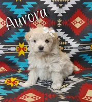 processed/c8658ad0-b3e3-497c-b57a-242ce2a8fe83/facility/dd5ed379-47a4-4da2-b051-44e7fc640e49