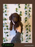 processed/c867a724-fbc1-4f79-9472-a5690a7f8714/listing/259c0b27-5901-442f-bd73-f76c969d2672/9a90862c-0c91-4bbe-843d-a3175824fcb5