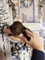 processed/c867a724-fbc1-4f79-9472-a5690a7f8714/listing/259c0b27-5901-442f-bd73-f76c969d2672/a67dfb3c-552c-42ab-baea-03319189f341