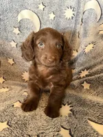 processed/c867a724-fbc1-4f79-9472-a5690a7f8714/listing/259c0b27-5901-442f-bd73-f76c969d2672/b290a9e8-5522-4fe2-bec7-f3b2f7ded2ad