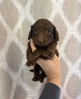 processed/c867a724-fbc1-4f79-9472-a5690a7f8714/listing/259c0b27-5901-442f-bd73-f76c969d2672/bd8b1a7a-f52f-4fba-becb-75635f90dcec