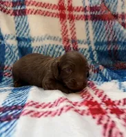 processed/c867a724-fbc1-4f79-9472-a5690a7f8714/listing/259c0b27-5901-442f-bd73-f76c969d2672/c3f74938-169c-43f7-845b-081345bdade0