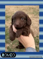 processed/c867a724-fbc1-4f79-9472-a5690a7f8714/listing/259c0b27-5901-442f-bd73-f76c969d2672/fcd5a945-4cf1-4228-b7b5-987a8bca472d