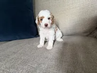 processed/c8691ca9-56c4-4b0c-9fce-6cfb32bc0f30/listing/120c0d71-df9e-4070-bace-bd728b3d2f92/b7518495-4396-4362-b691-aa5d13b20318