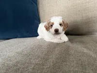 processed/c8691ca9-56c4-4b0c-9fce-6cfb32bc0f30/listing/b31617d8-a2a9-4fad-b1a6-b90fa398db2b/280f4217-b010-4d2e-964e-62ad9598ff7c