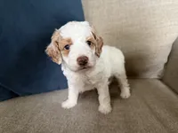 processed/c8691ca9-56c4-4b0c-9fce-6cfb32bc0f30/listing/b31617d8-a2a9-4fad-b1a6-b90fa398db2b/d3e82f66-d506-465a-99a9-31eb72f675a2