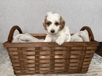 processed/c8691ca9-56c4-4b0c-9fce-6cfb32bc0f30/listing/b31617d8-a2a9-4fad-b1a6-b90fa398db2b/e467152e-f1cb-4c59-92c0-45f4fe4c23c2