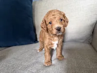 processed/c8691ca9-56c4-4b0c-9fce-6cfb32bc0f30/listing/dcbeda0e-d2b3-4ac1-889f-fd7505907543/0082e145-38ed-4aa2-b66c-9bd0983f1f10