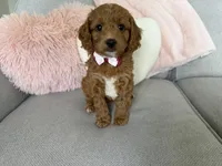 processed/c8691ca9-56c4-4b0c-9fce-6cfb32bc0f30/listing/dcbeda0e-d2b3-4ac1-889f-fd7505907543/0d761046-2601-438f-b7af-80291091ace6