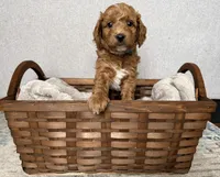 processed/c8691ca9-56c4-4b0c-9fce-6cfb32bc0f30/listing/dcbeda0e-d2b3-4ac1-889f-fd7505907543/140e793a-f6e7-486d-8640-bd2734c4c7e4