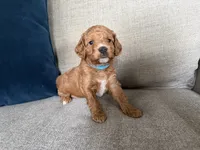 processed/c8691ca9-56c4-4b0c-9fce-6cfb32bc0f30/listing/dcbeda0e-d2b3-4ac1-889f-fd7505907543/a1387a7a-c4f6-438b-9502-c62f4f4b576a