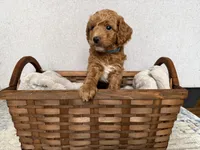 processed/c8691ca9-56c4-4b0c-9fce-6cfb32bc0f30/listing/dcbeda0e-d2b3-4ac1-889f-fd7505907543/bc5c42b7-416e-4483-b61e-5752e78f5616