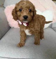 processed/c8691ca9-56c4-4b0c-9fce-6cfb32bc0f30/listing/dcbeda0e-d2b3-4ac1-889f-fd7505907543/c717338b-b0c0-4e10-ad2b-605b6c78485f