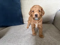 processed/c8691ca9-56c4-4b0c-9fce-6cfb32bc0f30/listing/dcbeda0e-d2b3-4ac1-889f-fd7505907543/e22901c3-d7ab-44cc-af83-419eb37564d2