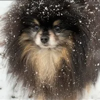 processed/c86dc7f2-a23c-49bd-843c-de8753a03170/facility/1785a90a-d06d-4682-abbb-280661305bd1