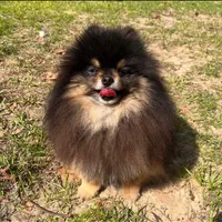 processed/c86dc7f2-a23c-49bd-843c-de8753a03170/facility/6039e4f8-1484-43d7-a8cf-1b6d809a6cd0