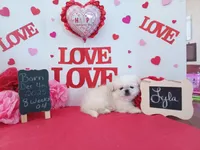 processed/c8753942-8cf8-4f0e-aea6-06a3d30a0c57/listing/03adf1b1-1f72-41e0-b718-55d9e88ec83c/248c8bcd-36ea-44dc-81e4-1371f1991d09