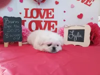 processed/c8753942-8cf8-4f0e-aea6-06a3d30a0c57/listing/03adf1b1-1f72-41e0-b718-55d9e88ec83c/ce66b799-2bfe-43e8-bcfc-103052c3d85d