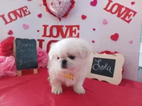 processed/c8753942-8cf8-4f0e-aea6-06a3d30a0c57/listing/5b527af6-aaea-44fa-8517-dee1c88fe465/542ce203-97ff-4077-b8ed-dd5dc7cfeb23