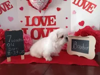 processed/c8753942-8cf8-4f0e-aea6-06a3d30a0c57/listing/90a1888c-f604-49dc-9bc3-98ecd7065faa/d67be88d-6703-4487-80d2-ab3a3a6f2096