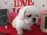 processed/c8753942-8cf8-4f0e-aea6-06a3d30a0c57/listing/90a1888c-f604-49dc-9bc3-98ecd7065faa/efd97dfa-c55d-4edd-88b8-e70e8325ddfa