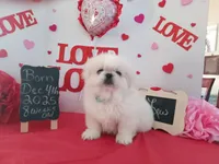 processed/c8753942-8cf8-4f0e-aea6-06a3d30a0c57/listing/99211716-89f6-4930-940e-a6099c0af1b4/6f3989f5-9d2a-4521-b230-08e4464f8027