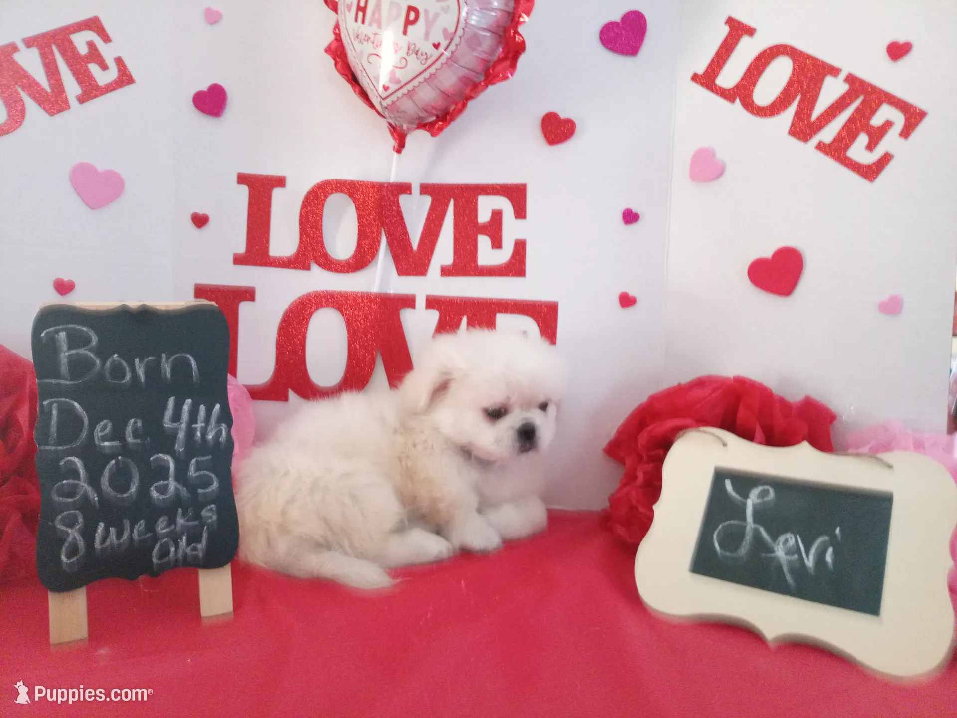 processed/c8753942-8cf8-4f0e-aea6-06a3d30a0c57/listing/ba7a258a-68cb-4ee6-97a0-4c7e9152e2b7/42258341-cb19-40c5-b324-072dd8276cb5