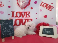 processed/c8753942-8cf8-4f0e-aea6-06a3d30a0c57/listing/ba7a258a-68cb-4ee6-97a0-4c7e9152e2b7/937ec398-37fc-4dd5-bb48-df9727e9555a