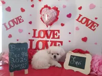 processed/c8753942-8cf8-4f0e-aea6-06a3d30a0c57/listing/ba7a258a-68cb-4ee6-97a0-4c7e9152e2b7/b0a137b7-3e3e-4866-806f-fffe835fa258