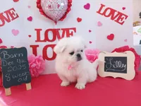 processed/c8753942-8cf8-4f0e-aea6-06a3d30a0c57/listing/c299b3a5-c158-49d9-91f9-ae5fafcef638/6906f4d4-54b4-44a0-a7e6-774dab21ae53