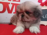 processed/c8753942-8cf8-4f0e-aea6-06a3d30a0c57/listing/e36da559-715f-4b45-baca-e644e124e199/53c1408e-bac0-4b38-babe-f6d4292b4838