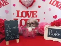 processed/c8753942-8cf8-4f0e-aea6-06a3d30a0c57/listing/e36da559-715f-4b45-baca-e644e124e199/7b0ec984-489f-4e04-a793-d39ca1821760