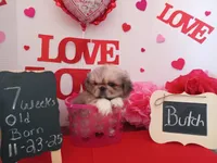 processed/c8753942-8cf8-4f0e-aea6-06a3d30a0c57/listing/e36da559-715f-4b45-baca-e644e124e199/c1089567-b3c5-4361-ab21-3efe7b1523ec