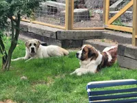 processed/c87d9db7-7e67-463a-92ae-cb16454662b2/facility/2c1e1c02-6fc5-4e57-9870-b7e059d48699